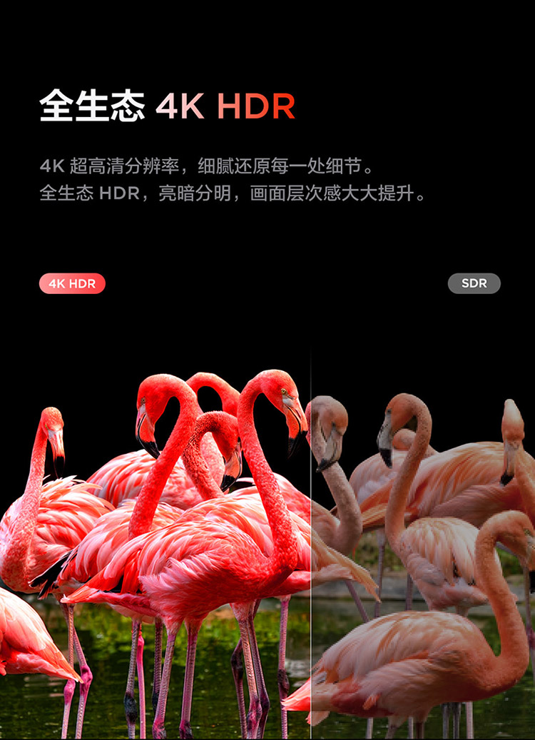 详情图片_11.jpg